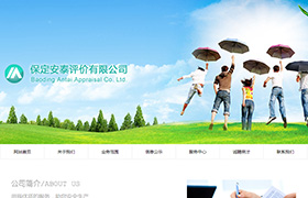 保定安泰評價有限公司